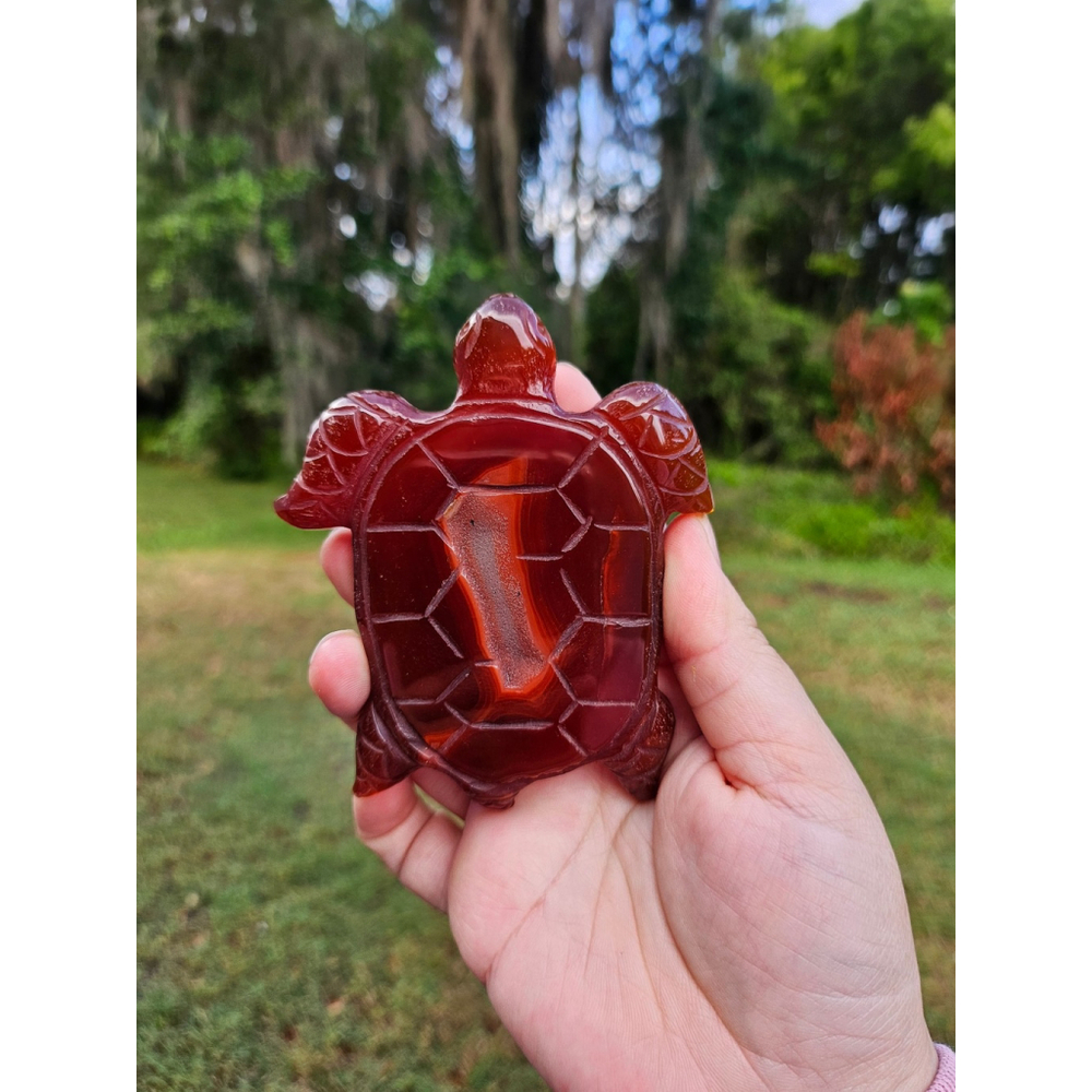 carnelian druzy turtle 4 in